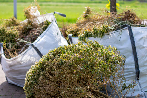  Oakwood, IL Junk Removal Services Pros